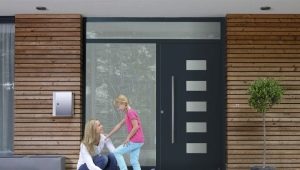 Portes d'entrée en fer pour une maison privée: conseils pour choisir