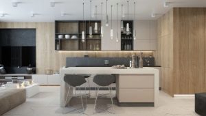 Projekt dwupokojowego mieszkania o powierzchni 70 m2 m