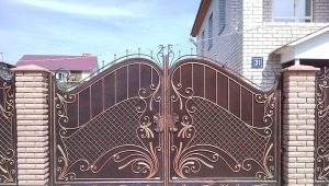 Jak wybrać bramę: charakterystyka popularnych typów