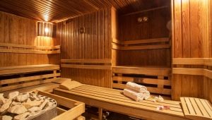 Sauna 6 na 3: cechy układu