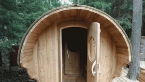 Cechy łaźni fińskich, projekty i wybór pieców
