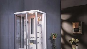 Parois de douche Appollo : caractéristiques et assortiment