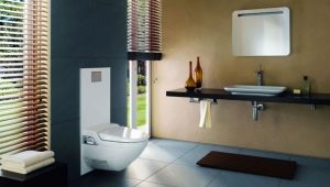 Pokrowiec na bidet toaletowy: jak wybrać?