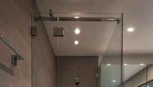 Caractéristiques des parois de douche en verre sans palette