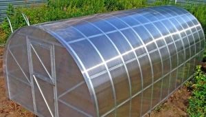 Cechy produkcji szklarni z profilu metalowego