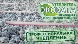Gdzie jest używany ecowool i jakie są jego zalety?