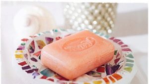 Nous fabriquons un porte-savon de nos propres mains: types et master class