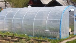 Szklarnie z rur polipropylenowych: cechy produkcyjne