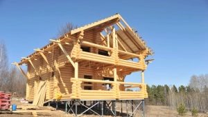 Fundament palowy: cechy, zalety i wady konstrukcji, instalacja