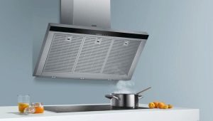 Okapy Siemens: plusy i minusy, cechy do wyboru