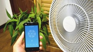 Fani Xiaomi: różnorodność modeli i funkcji do wyboru