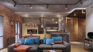 Projekt kuchni-salonu o powierzchni 20 m2 m