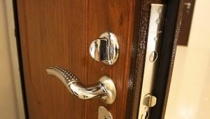 Wskazówki dotyczące doboru okuć do drzwi wejściowych