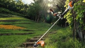 Nożyce do żywopłotu Husqvarna: typy modeli i specyfikacje