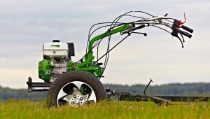 Motoblocks Aurora: cechy i cechy modeli