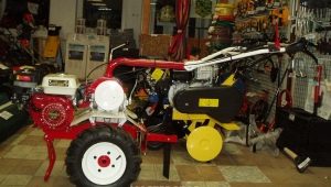 Ulubione motobloki: funkcje, modele i wskazówki dotyczące wyboru