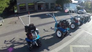 Motobloki Neva: cechy i typy
