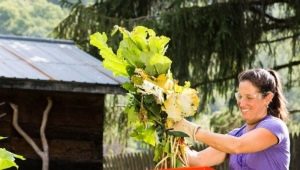 Rozdrabniacze do trawy ogrodowej i gałęzi: cechy i popularne modele