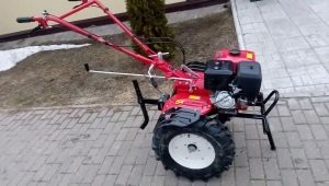 Wszystko o ciągnikach pchanych Asilak