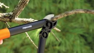 Wszystko o Fiskars Loppers