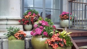 Grands pots : caractéristiques, types et conseils pour choisir