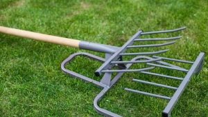 Cudowna łopata: cel i zasady działania