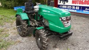 Mini traktor Fighter: funkcje i wskazówki dotyczące wyboru