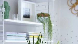 Caractéristiques et options de conception pour les pots de fleurs décoratifs