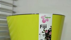 Wskazówki dotyczące wyboru doniczki InGreen Fiji