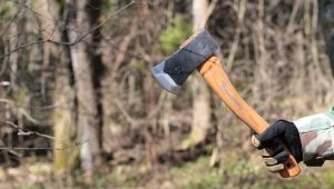 Siekiery Husqvarna: odmiany i ich cechy