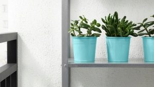 Donice Ikea: cechy, rodzaje i zastosowanie we wnętrzu