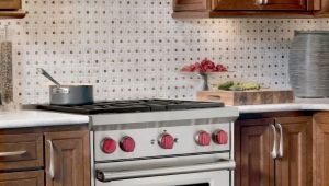 Cuisinières Gorenje: caractéristiques et types