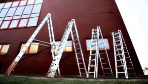 Wszystko o trzyczęściowych drabinach aluminiowych