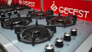 Wszystko o płytach Gefest