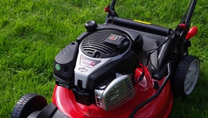 Kosiarki do trawy z silnikiem Briggs & Stratton: cechy, typy i zastosowania