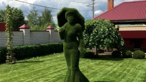 Topiary ze sztucznej trawy: odmiany, zalecenia dotyczące tworzenia