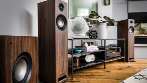 Akustyka Hi-Fi: definicja, charakterystyka, zalecenia dotyczące wyboru