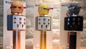Mikrofony WSTER: cechy, przegląd modeli, kryteria wyboru