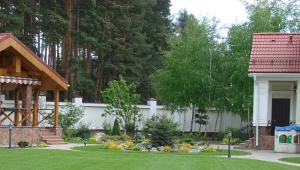 Wszystko o rosyjskich trawnikach