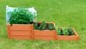 Wszystko o plastikowych łóżkach