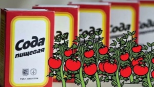 Jak używać sody oczyszczonej do pomidorów?