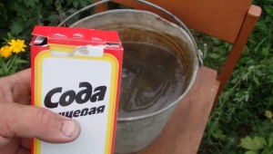 Metody przetwarzania winogron z sodą