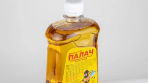 Oznacza kat z karaluchów
