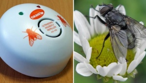 Wszystko o środkach odstraszających muchy i muchy