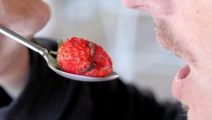 Jakie robaki mogą znajdować się w truskawkach i jak się ich pozbyć?