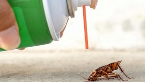 Przegląd najskuteczniejszych środków na karaluchy