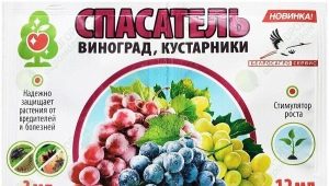 Cechy leku Ratownik winogronowy