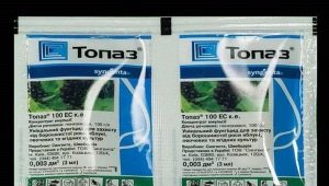Wszystko o fungicydzie Topaz na winogrona