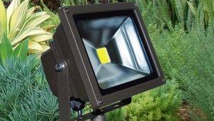 Wszystko o 12-woltowych reflektorach LED