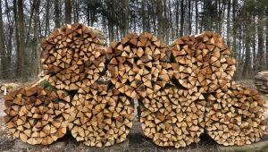 Jak przygotować drewno opałowe?